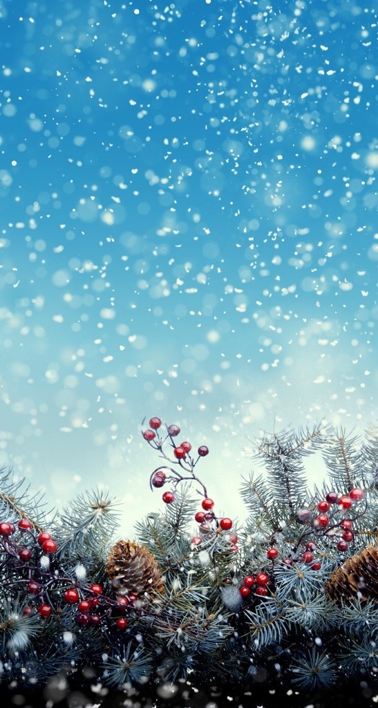 Android向け 冬が感じられる壁紙 待受画像集 冬景色 雪景色 Naver まとめ