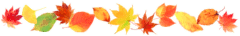 落ち葉 紅葉 もみじ いちょう 秋の画像 プリ画像