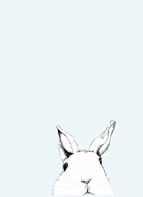 うさぎ ラビット 動物 アニマル かわいい ほのぼの 壁紙 待ち受け 可愛いウサギ 兎 うさぎ のスマホ壁紙 待ち受け画像 Rabbit Bunny Naver まとめ