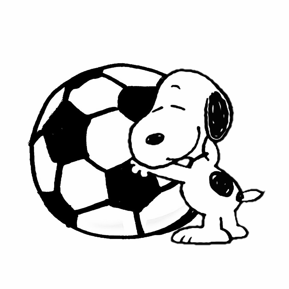 サッカーの画像 原寸画像検索