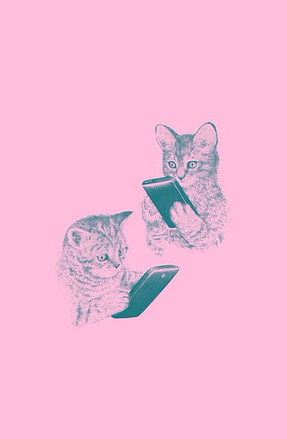 猫 壁紙 待ち受け かわいい スマホ 可愛い猫のスマホiphone壁紙 イラスト 写真 画像 待ち受け画面 Naver まとめ