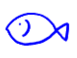 魚の画像 プリ画像